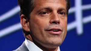 A Bittersweet Afternoon For The Mooch